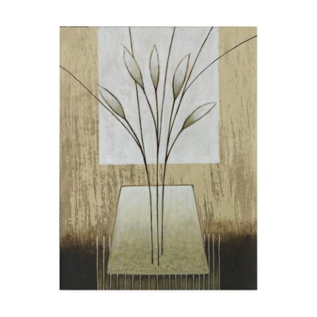 Trademark Fine Art Pablo Esteban 'Tan And White Floral Abstract' Canvas Art, 14x19 ALI46210-C1419GG